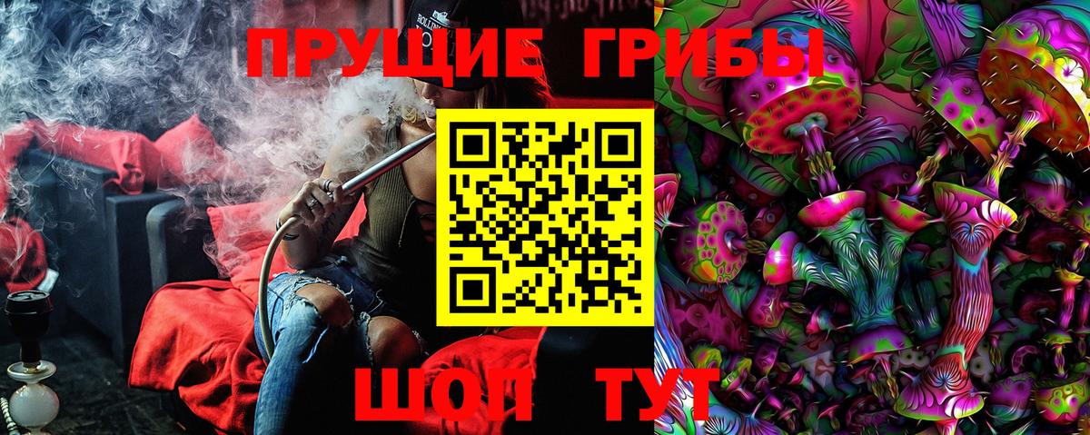 Кисловодск  Псилоцибиновые грибы Psilocybine cubensis  Вход с VPN  где купить наркоту  Галлюциногенные грибы ЛСД 